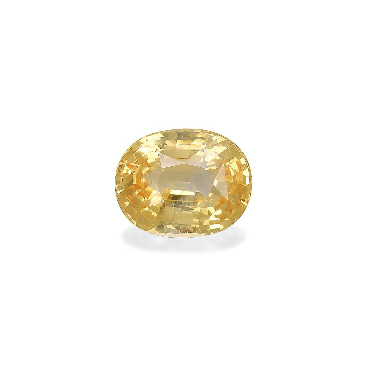 Picture of Yellow Sapphire Unheated Sri Lanka 4.50ct - 10x8mm (YS0020)