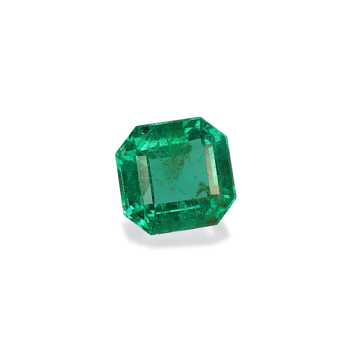 Picture of Green Zambian Emerald 1.60ct (PG0334)