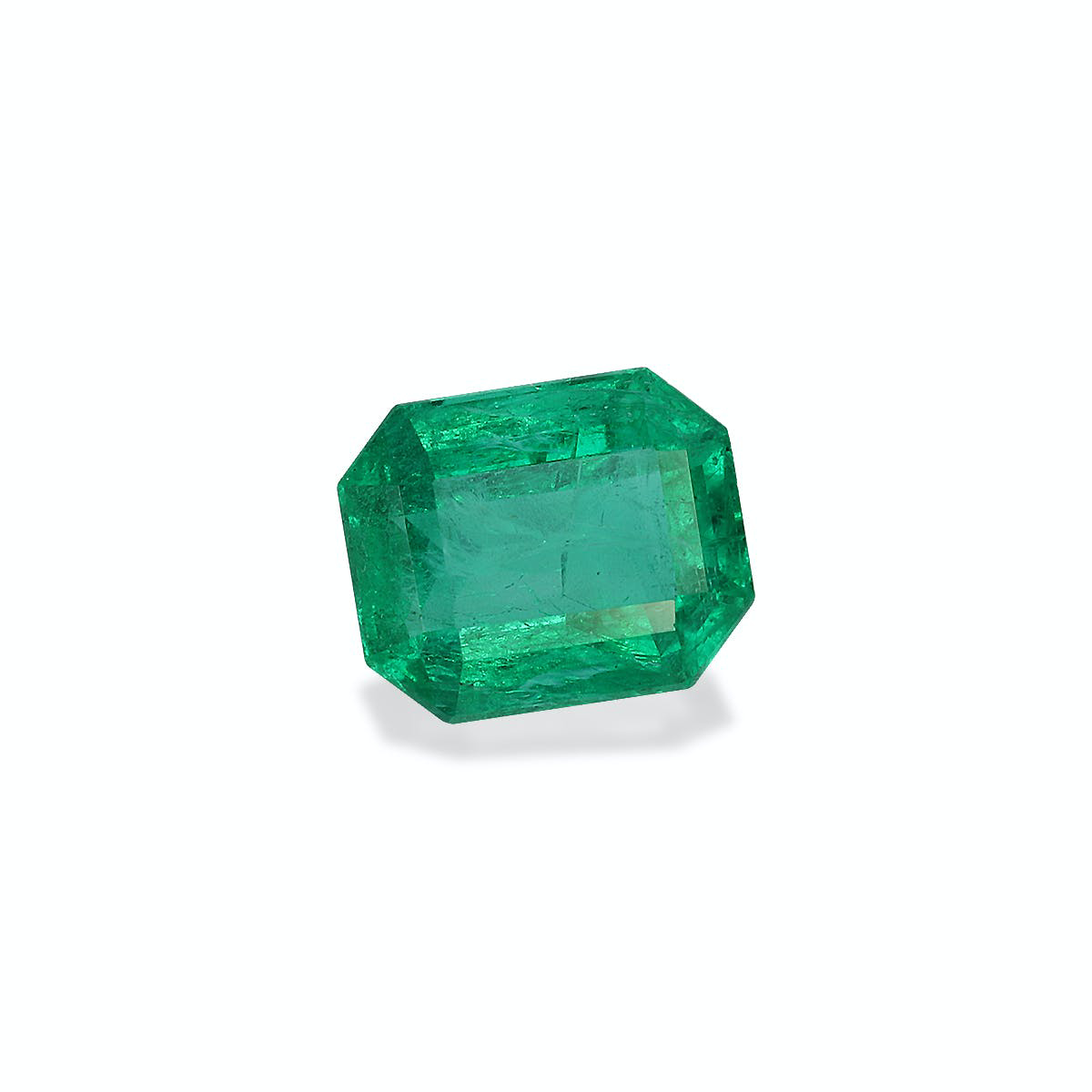 Picture of Green Zambian Emerald 1.51ct (PG0371)