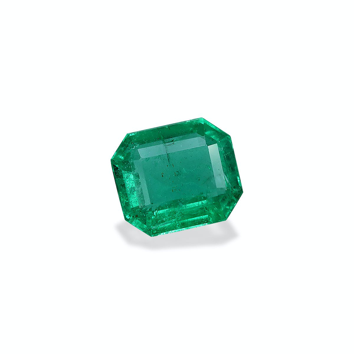 Picture of Green Zambian Emerald 1.47ct (PG0384)
