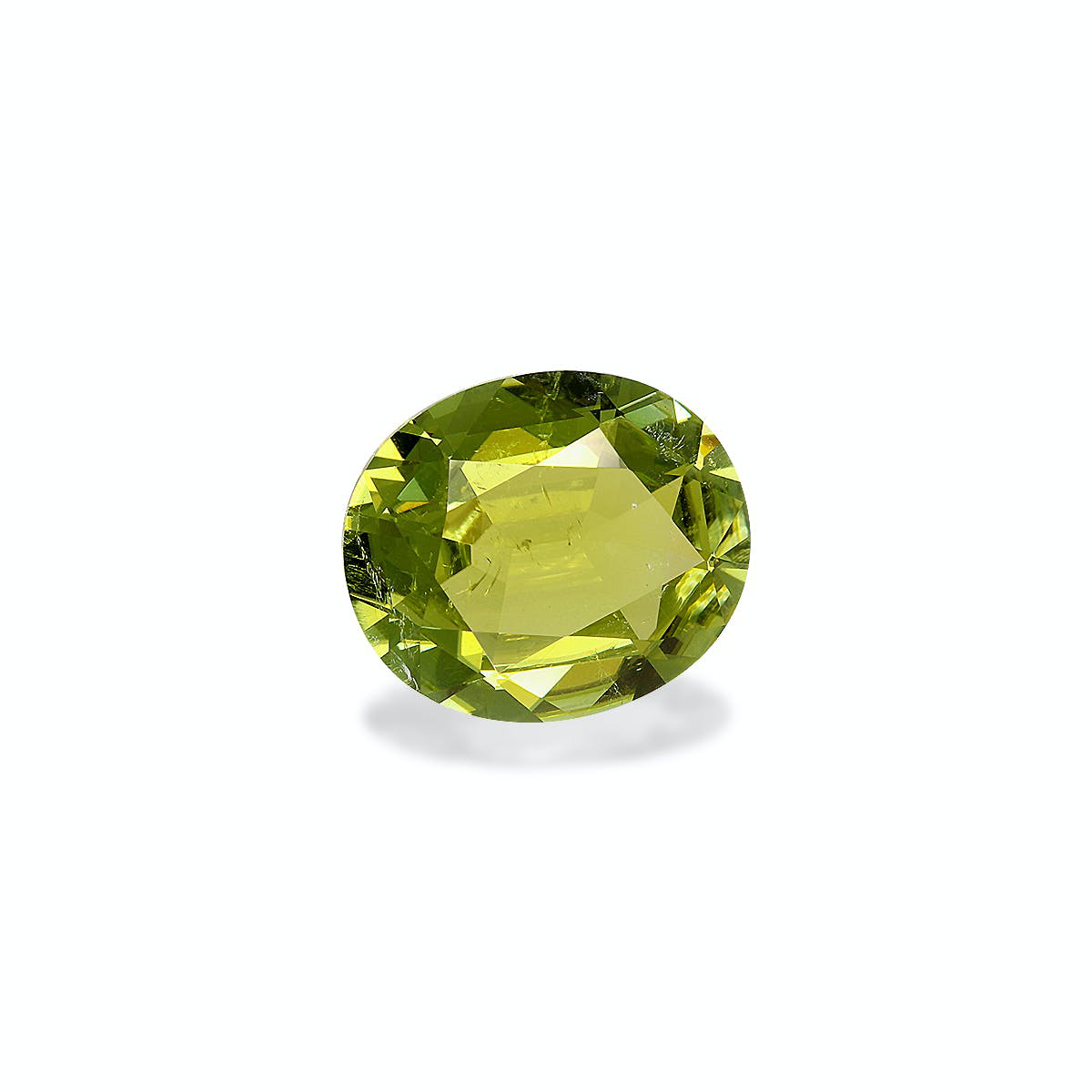Picture of Olive Green Cuprian Tourmaline 8.82ct - 15x13mm (MZ0300)
