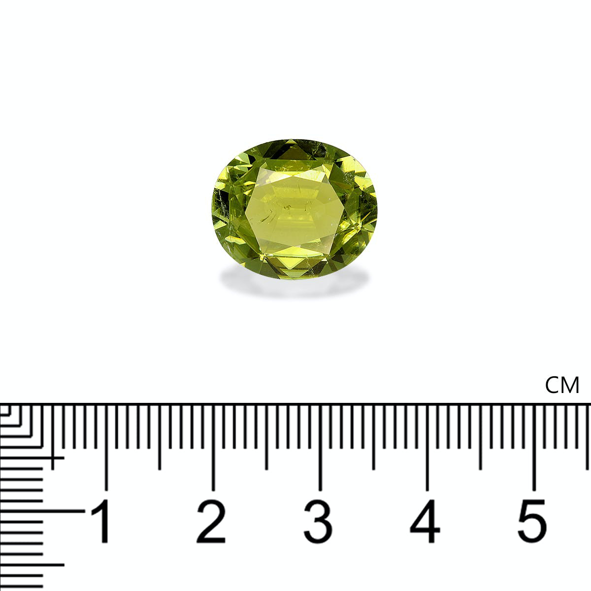Picture of Olive Green Cuprian Tourmaline 8.82ct - 15x13mm (MZ0300)