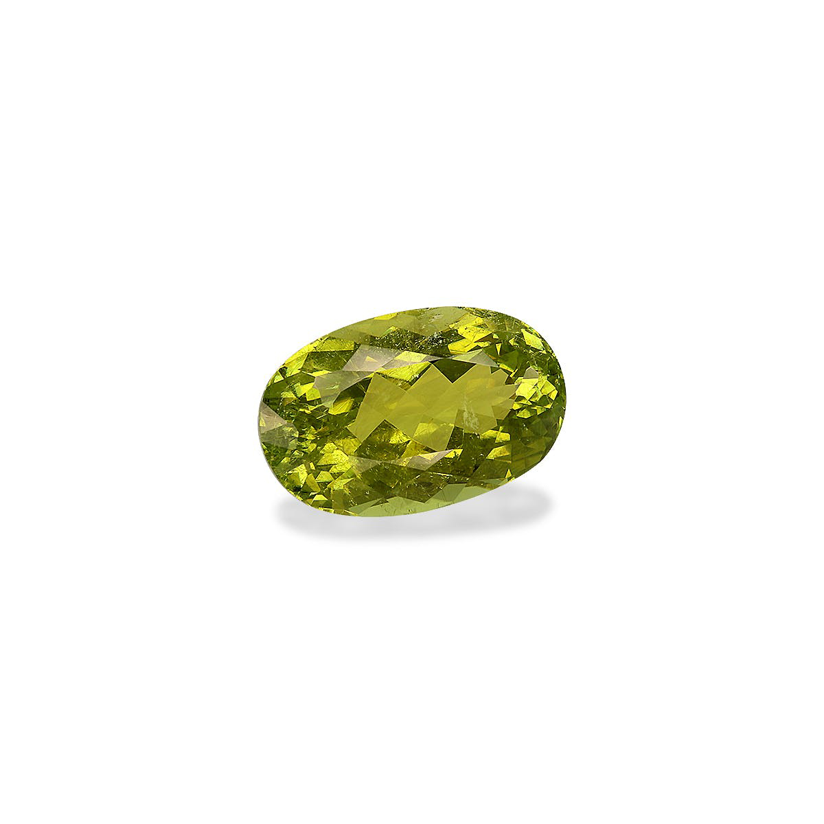 Picture of Olive Green Cuprian Tourmaline 11.04ct (MZ0302)
