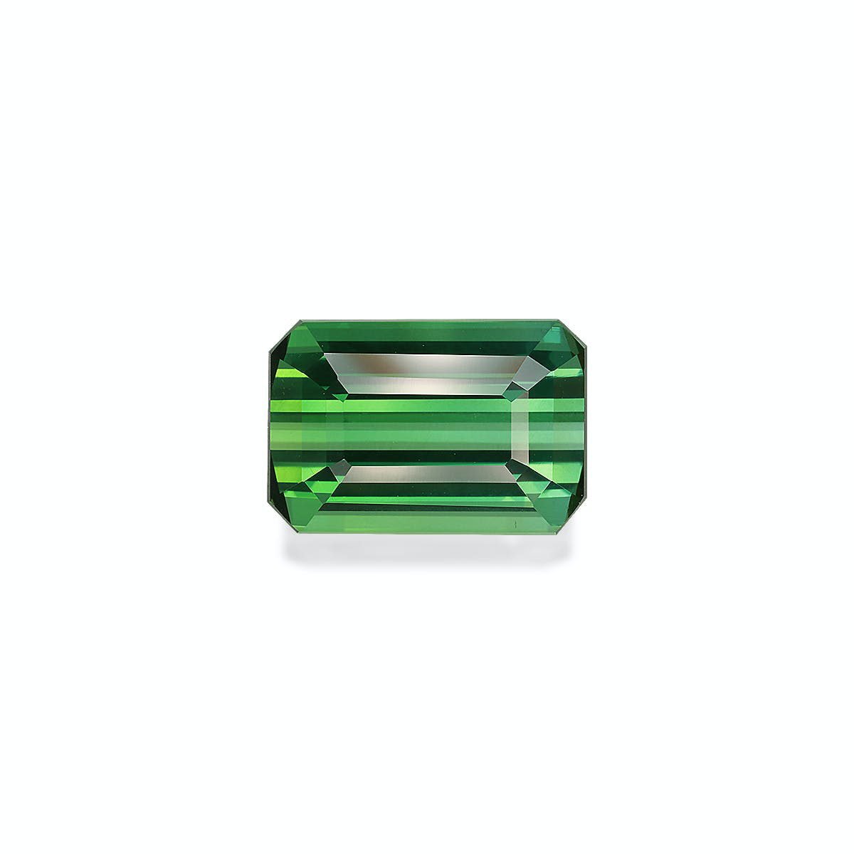 Vivid Green Tourmaline 13.01ct (TG0342)