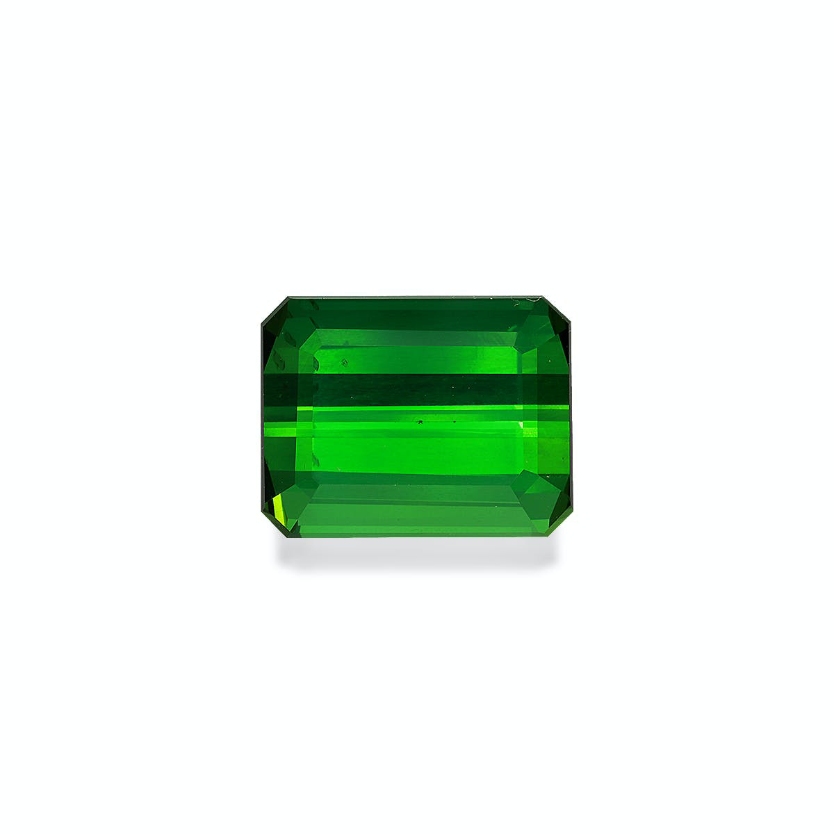 Vivid Green Tourmaline 14.74ct (TG0876)