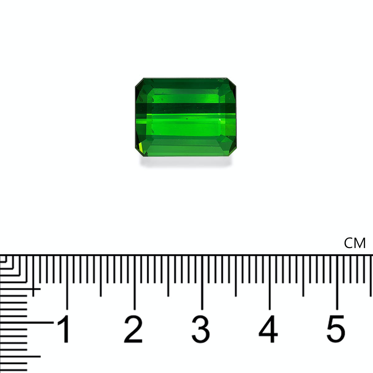 Vivid Green Tourmaline 14.74ct (TG0876)