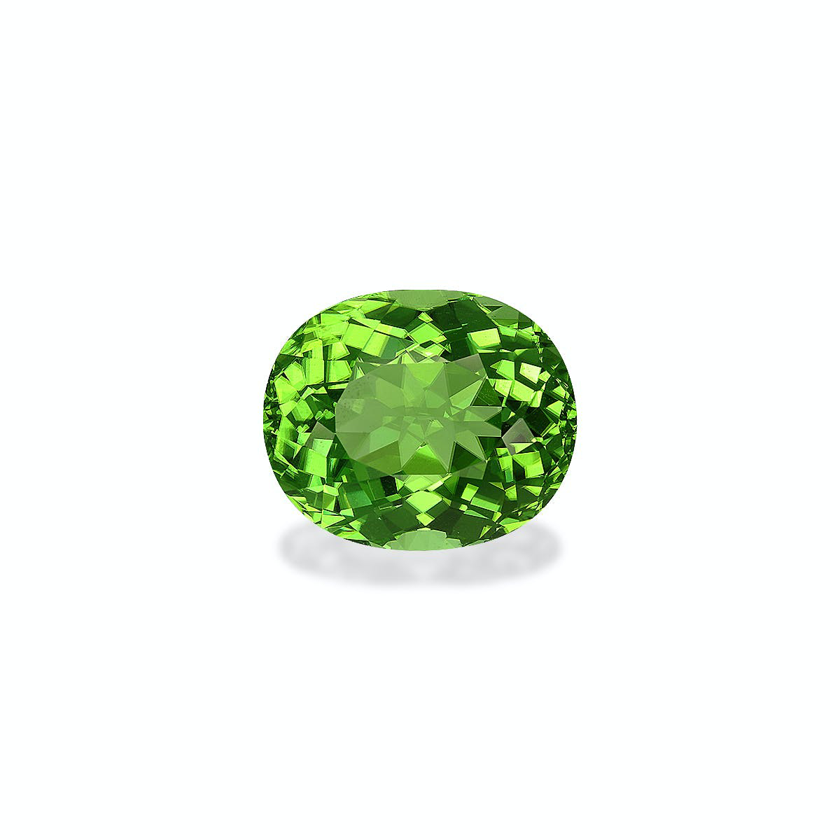 Vivid Green Peridot 12.40ct (PD0346)