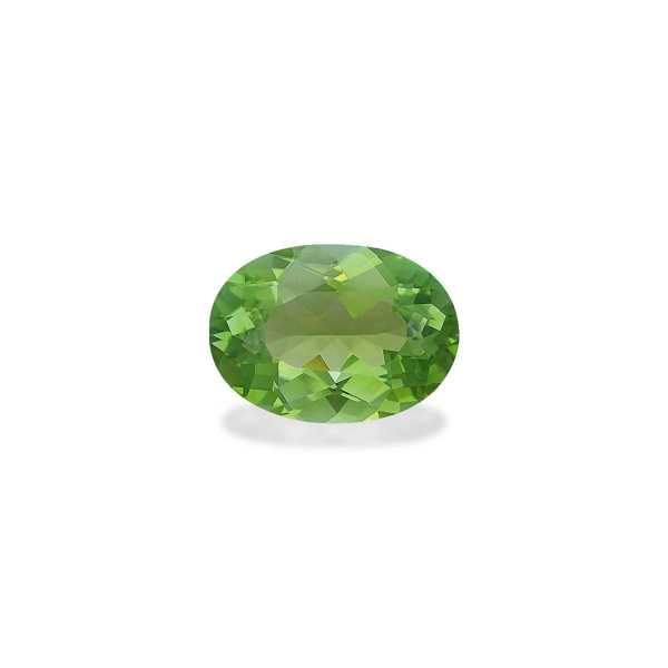 Lime Green Tourmaline 6.91ct (TG1673)