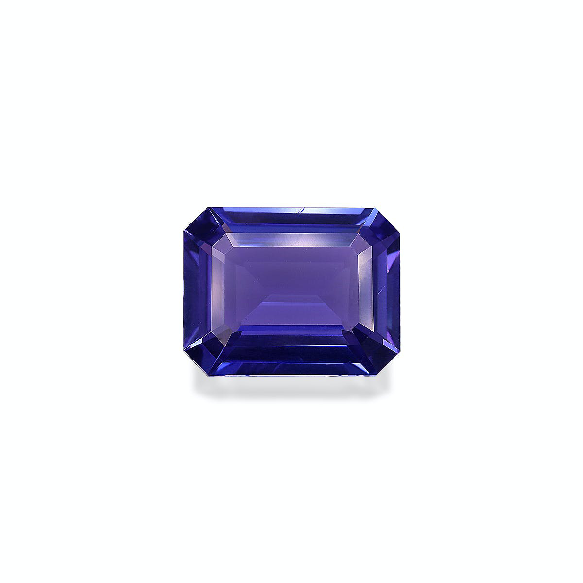 AAA+ Blue Tanzanite 8.76ct (TN0834)