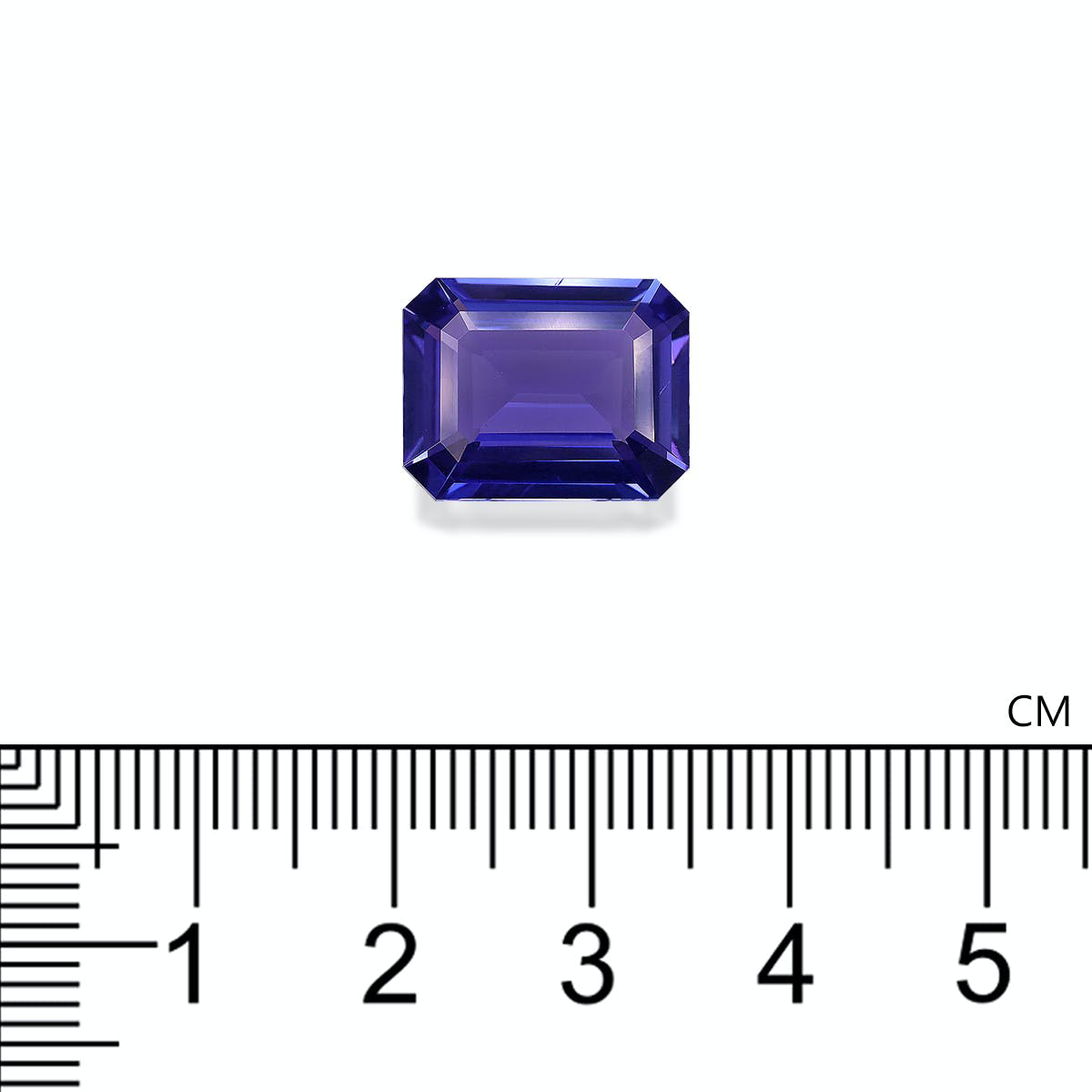 AAA+ Blue Tanzanite 8.76ct (TN0834)
