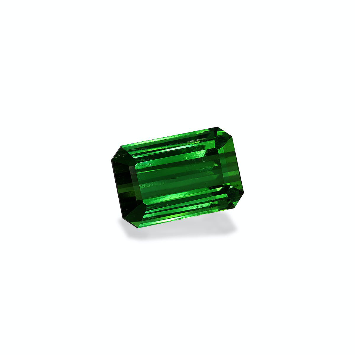Vivid Green Tourmaline 7.00ct (TG1690)