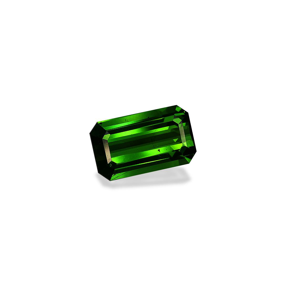 Vivid Green Tourmaline 4.83ct (TG1693)
