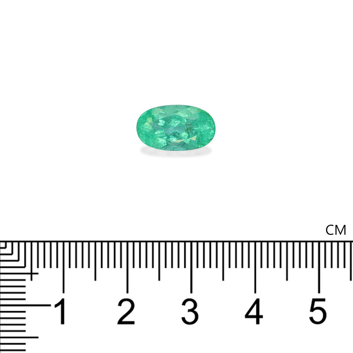 Green Paraiba Tourmaline 3.69ct (PA1645)
