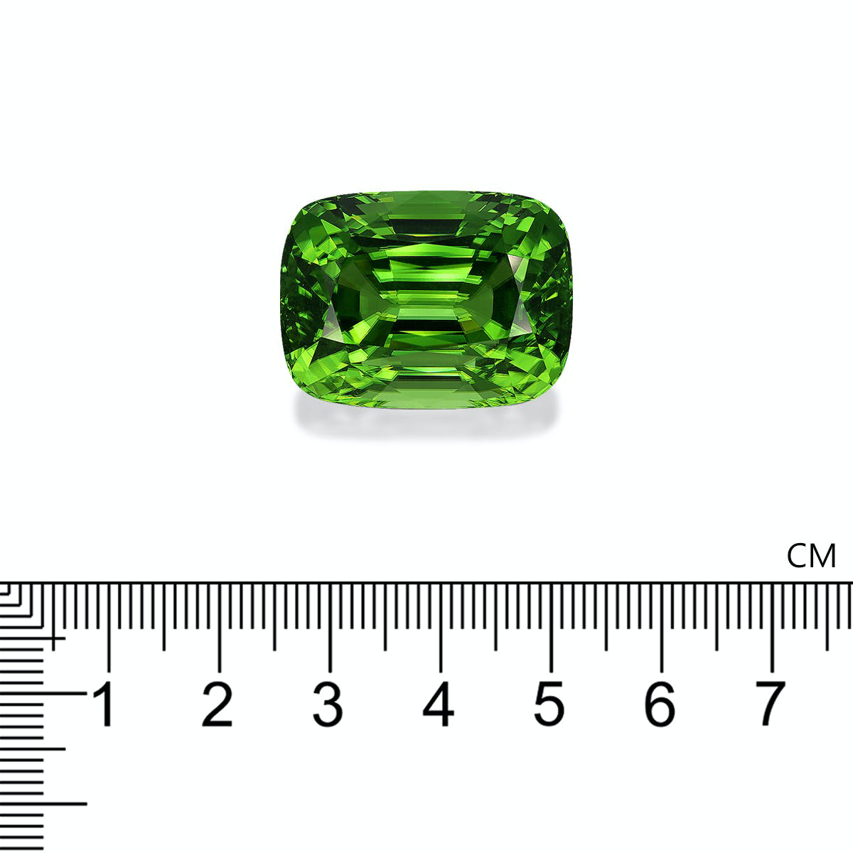 Green Peridot 78.72ct (PD0363)