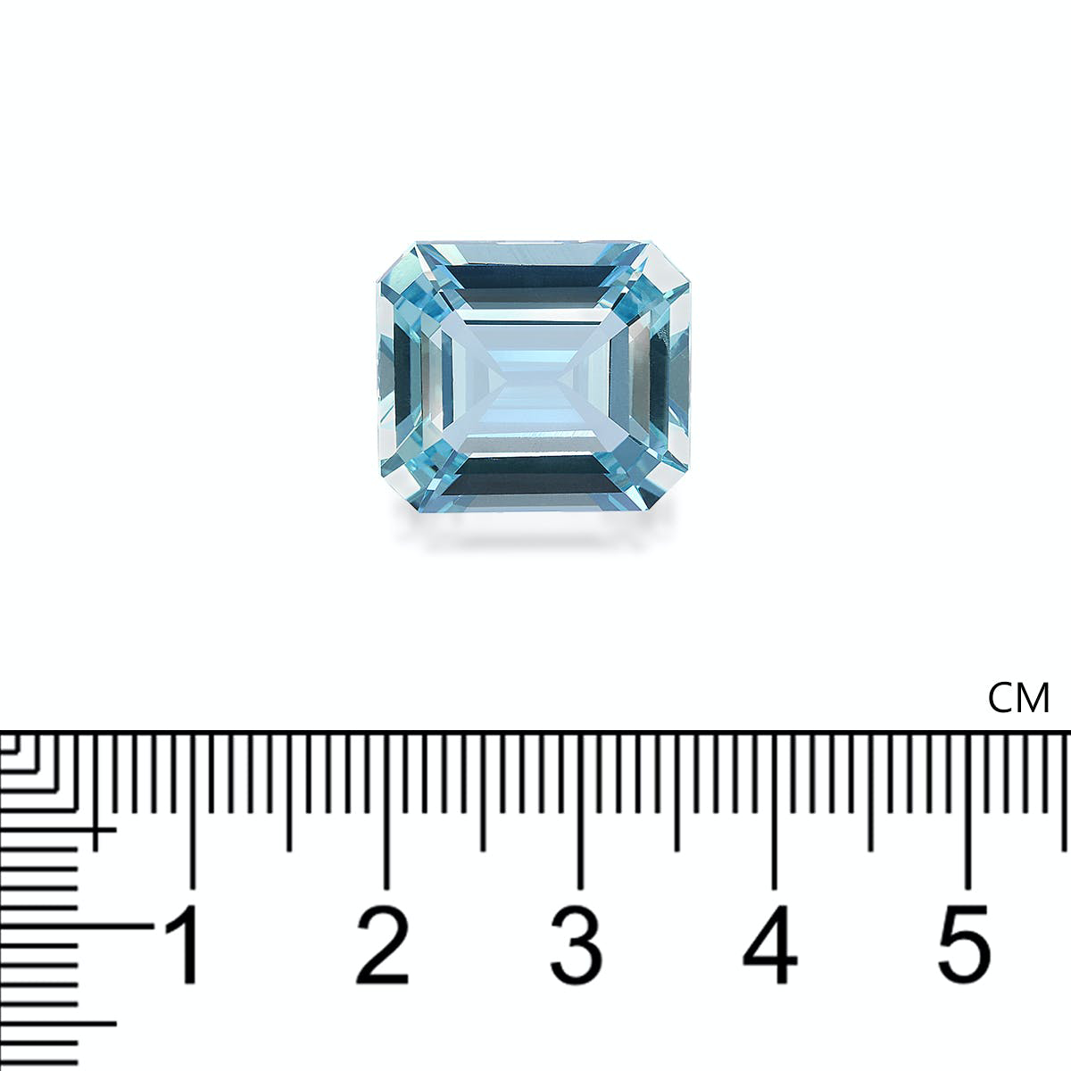 Ice Blue Aquamarine 13.94ct - 16x14mm (AQ3883)