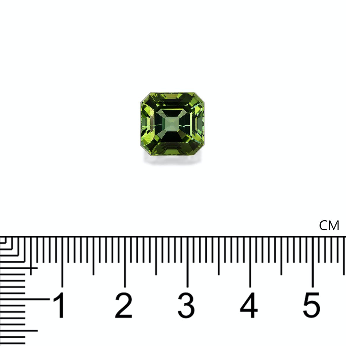Green Tourmaline 6.54ct - 10mm (TG1720)