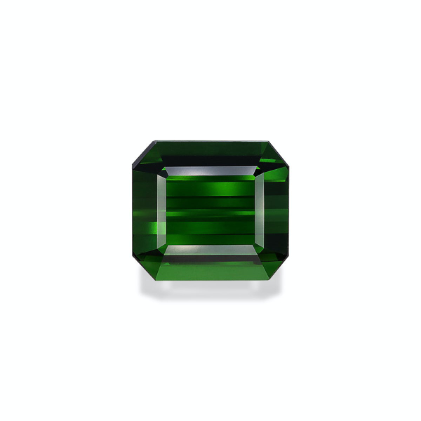 Basil Green Tourmaline 20.93ct - 16x14mm (TG0317)