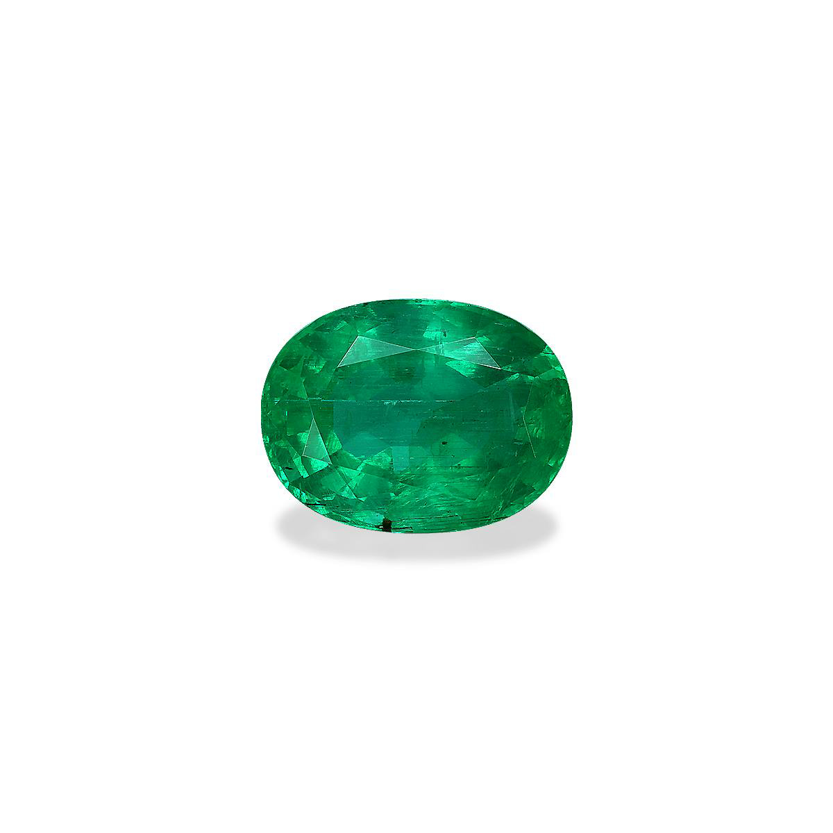 Green Colombian Emerald 9.15ct (PG0469)