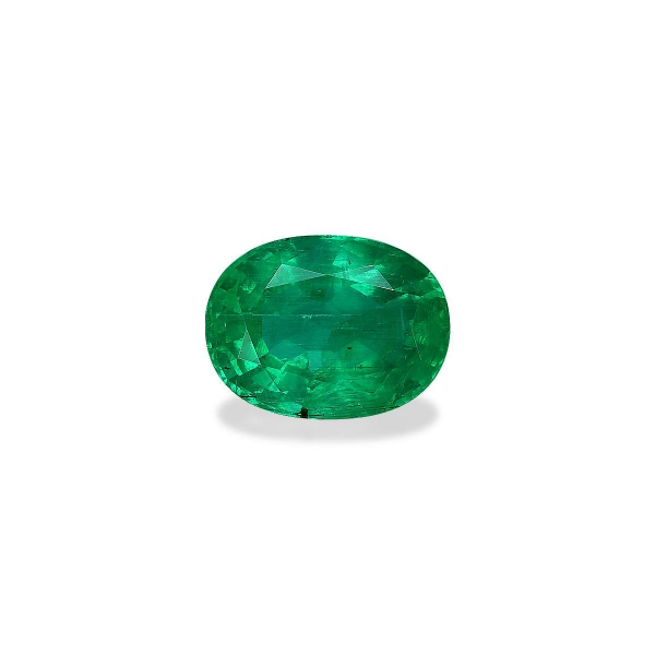 Green Colombian Emerald 9.15ct (PG0469)