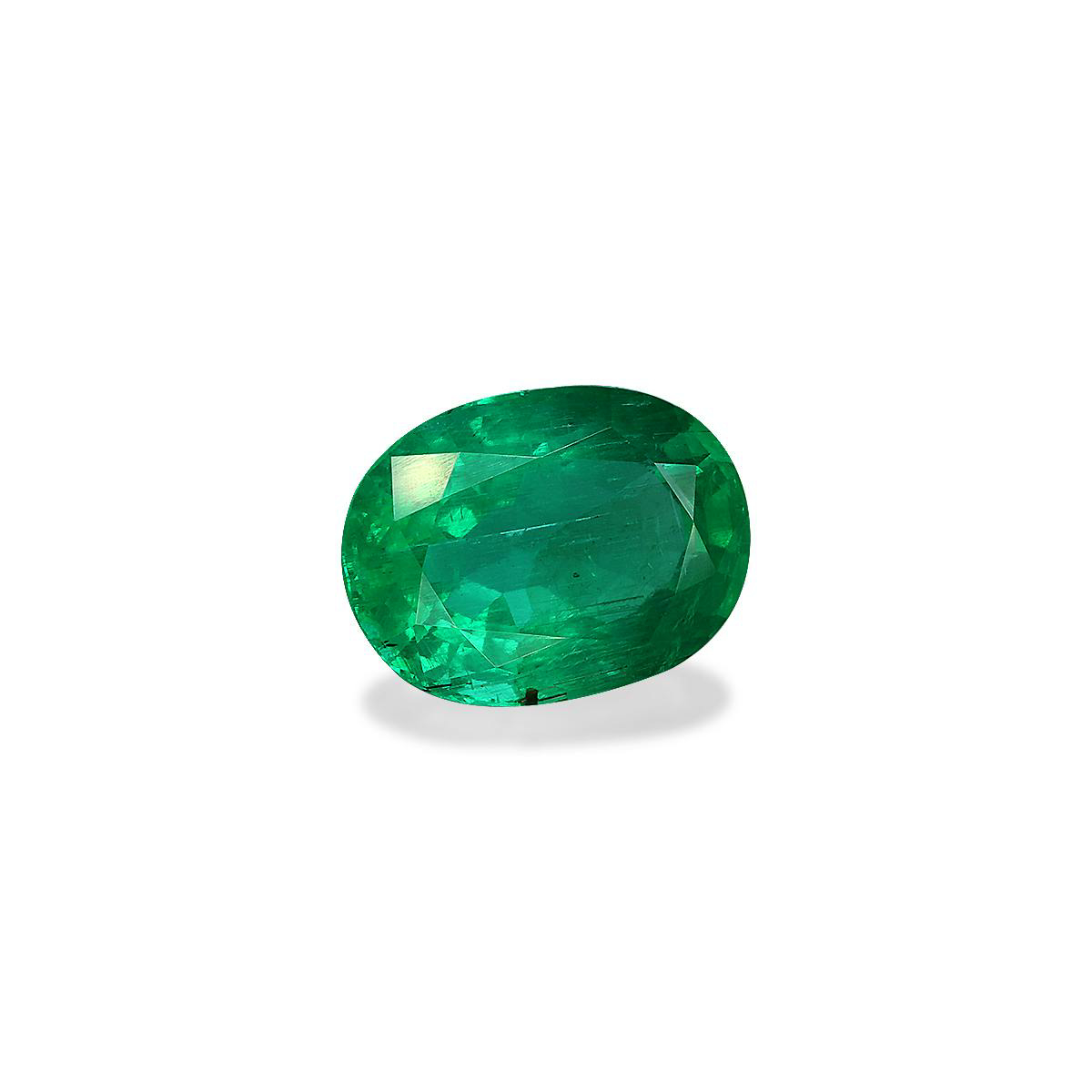 Green Colombian Emerald 9.15ct (PG0469)
