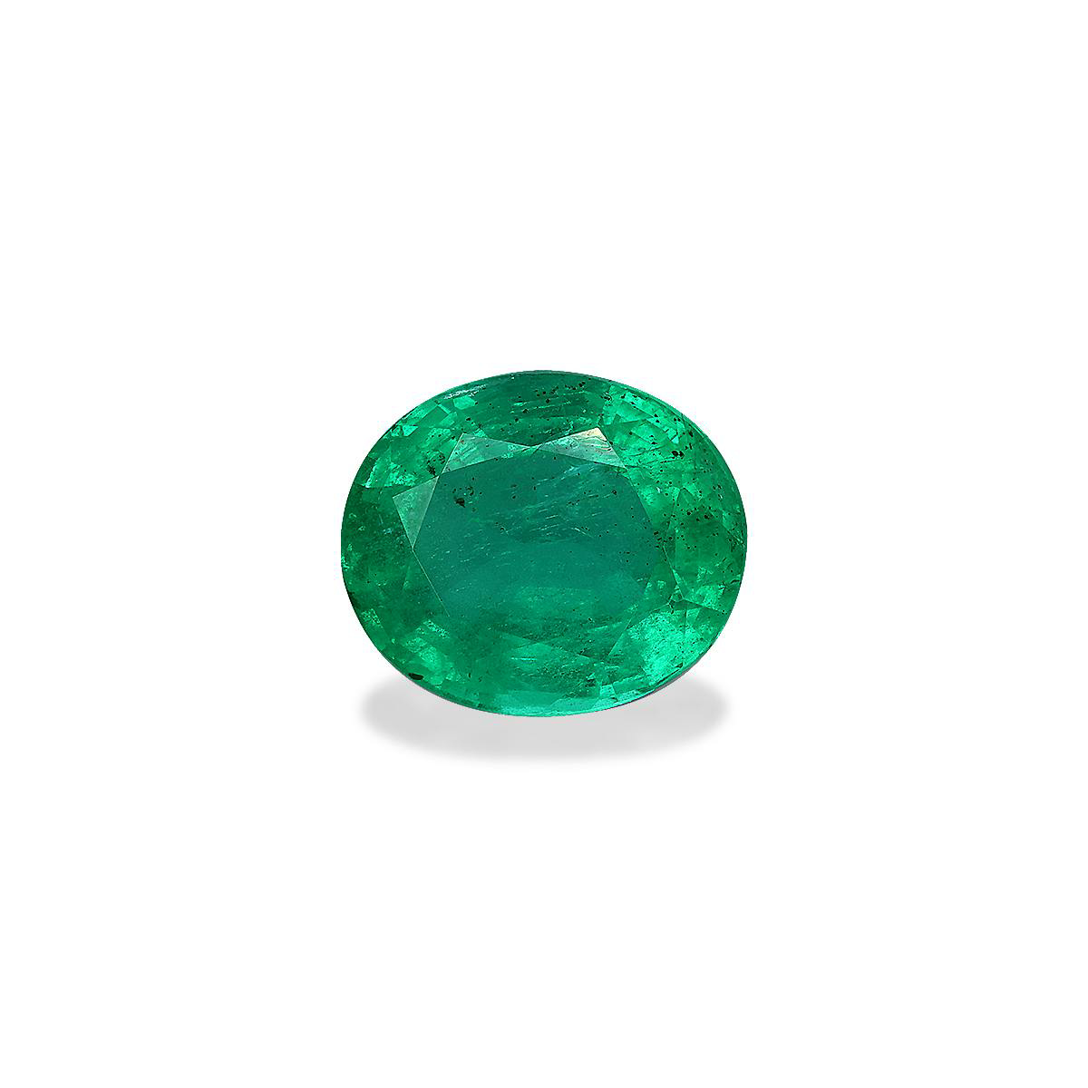 Green Colombian Emerald 7.14ct - 13x11mm (PG0470)