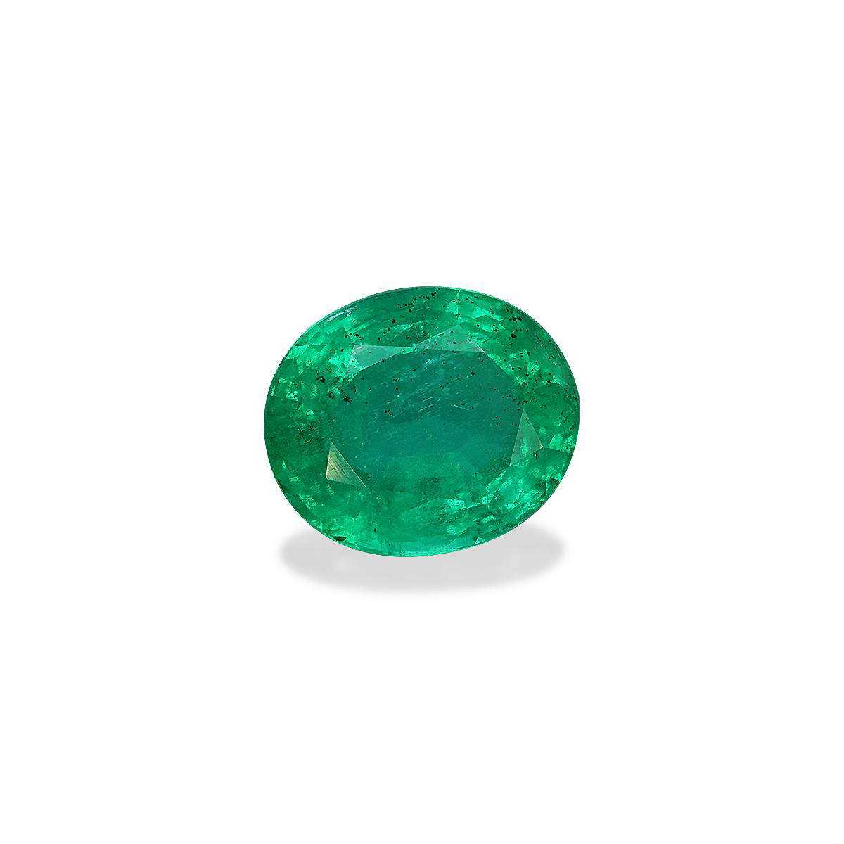 Green Colombian Emerald 7.14ct - 13x11mm (PG0470)